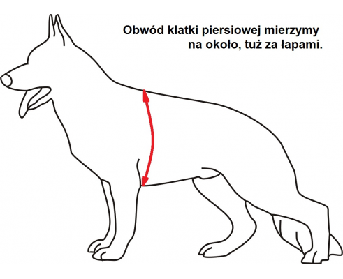 Uprzaz-taktyczna-z-systemem-MOLLE,-dostepna-w-dwoch-kolorach-i-czterech-rozmiarach (1).png
